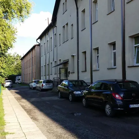 Apartment Street Art Oswiecim